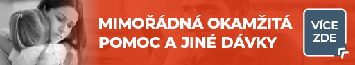 Mimořádná okamžitá pomoc
